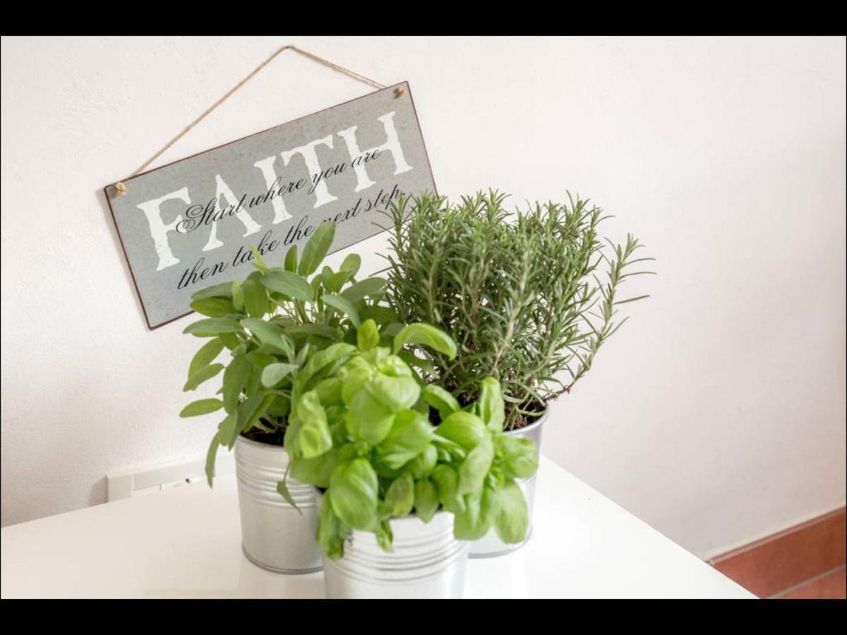 Susy Apartment, Lightly And Quiet With Gardnview Appartamento *